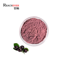 Organic Brazilian Acai Powder Natural Acai Berry Extract Powder for Beverage